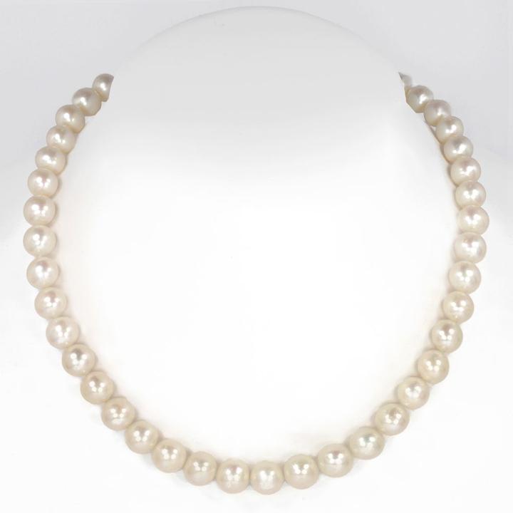 Immagine prodotto Bijouteria Collana di perle (Argento 925, Perla d'acqua dolce, 60 cm)