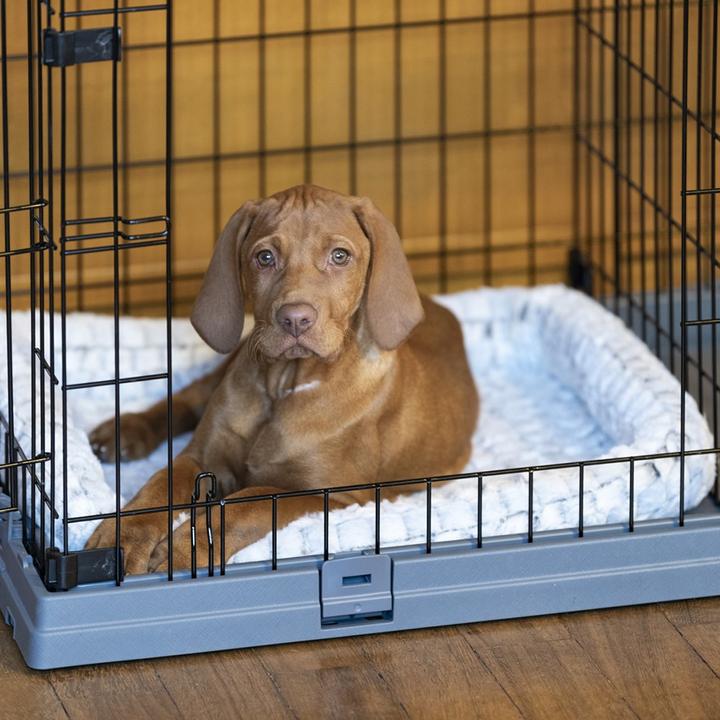 Actual product image Ferplast Caisse pour animaux de compagnie (Dog, Reflectors, Breathable, Washable)