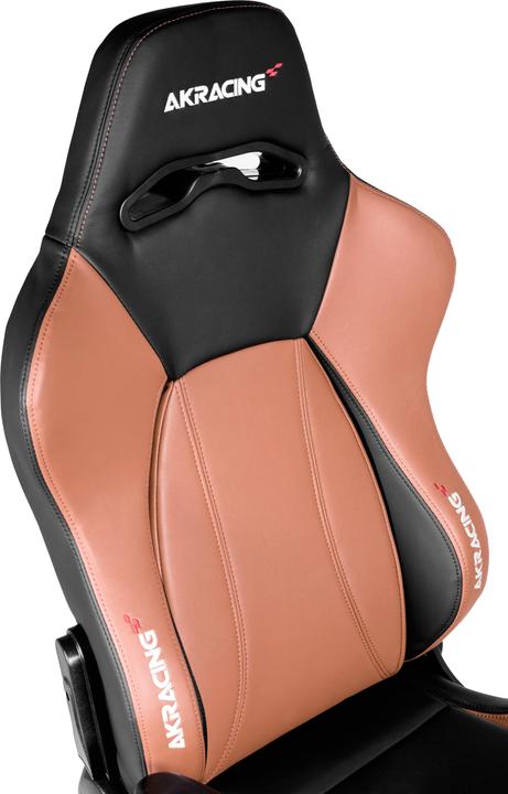 Image du produit Akracing Premium V2