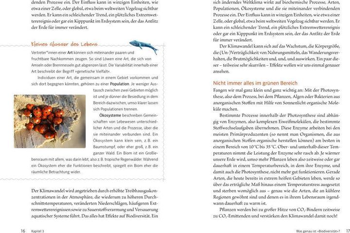Produktbild Wal macht Wetter (Deutsch, Hilke, Frauke/Oberhansberg, Fischer, 2023)