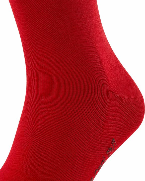 Actual product image Falke Cool 24/7 SO (Single pack, 39 - 40)