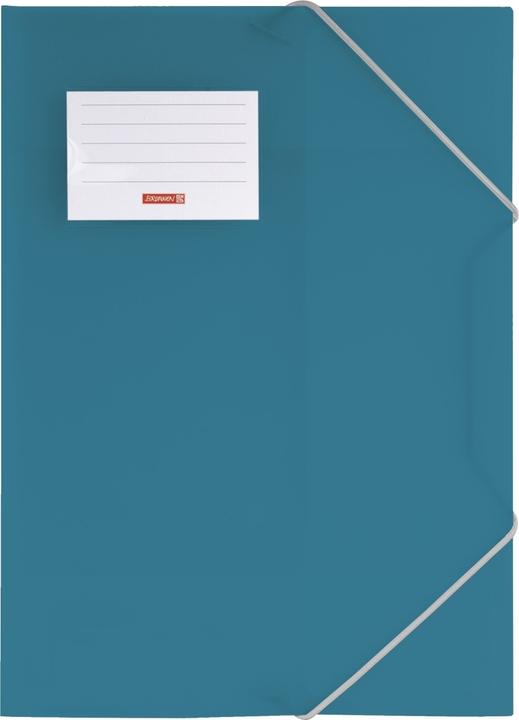 Actual product image Folder FACT!pp DIN A4 turquoise transparent (A4, 1 x)