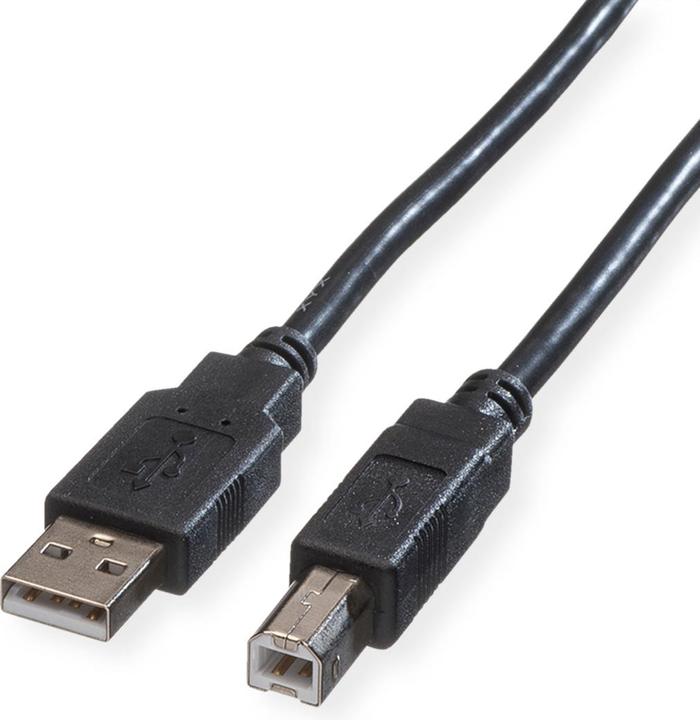Roline USB 2.0 (1.80 m, USB 2.0)