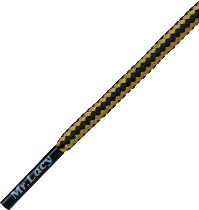 Mr. Lacy Hillies DM (140 cm)