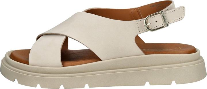 IVORY NUBUC