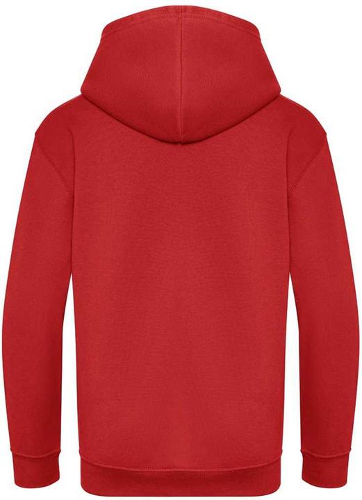 Image du produit Awdis Sweat à capuche Coton issu de l'agriculture biologique (128)