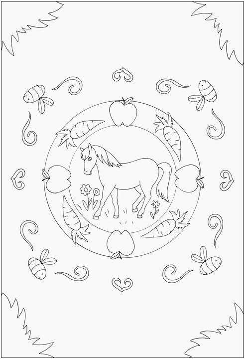 Image du produit Ravensburger Chevaux - colorier et rêver - 24 coloriages pour les enfants à partir de 6 ans - motifs pour