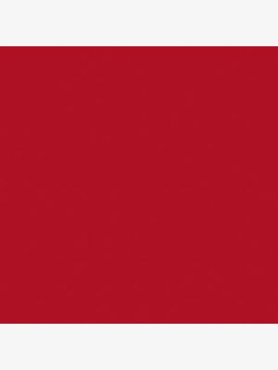 Actual product image Yves Saint Laurent Rouge Pur Couture The Bold Revenged Red 04 (No. 04 - Revenged Red)
