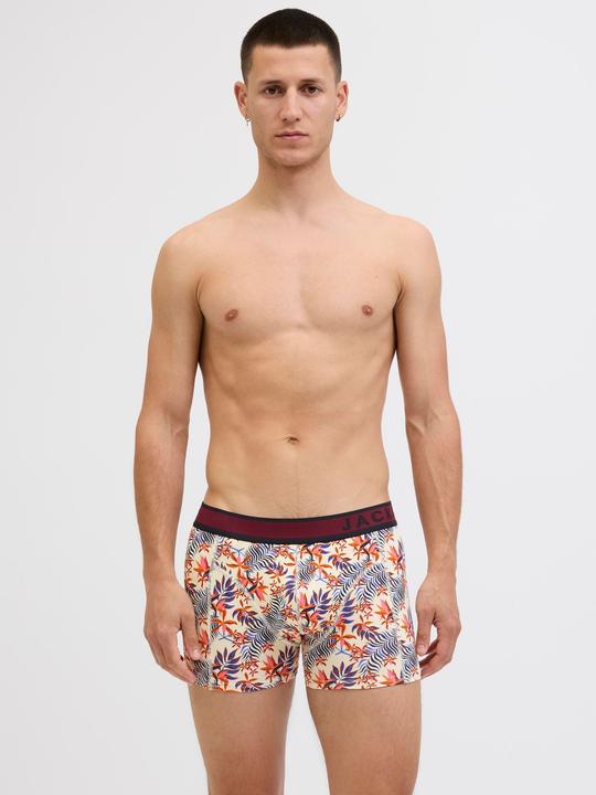 Immagine prodotto Jack & Jones 10er-pack Trunks Trunks (XL, confezione da 10)