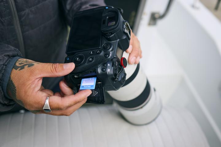 Immagine prodotto SanDisk Creator UHS-II V60 (256 GB, SDXC, U3, UHS-II)