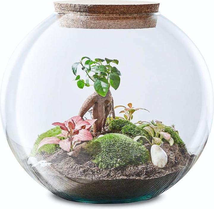 Image du produit Green Bubble Globe Garden (25 cm)