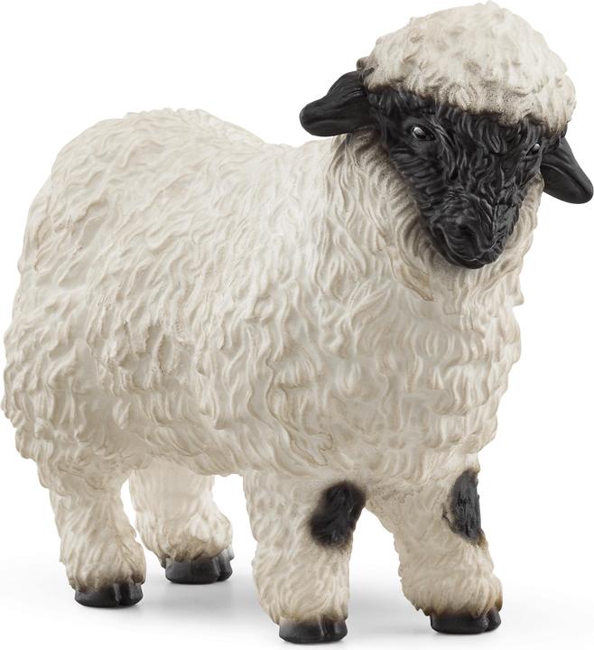 Produktbild Schleich Walliser Schwarznasenschaf