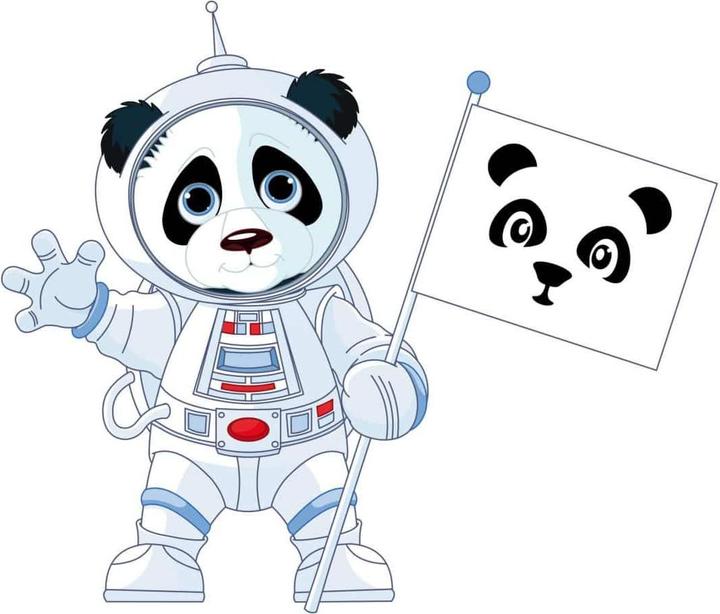 Produktbild Trenddeko Panda im All (93 x 80 cm)