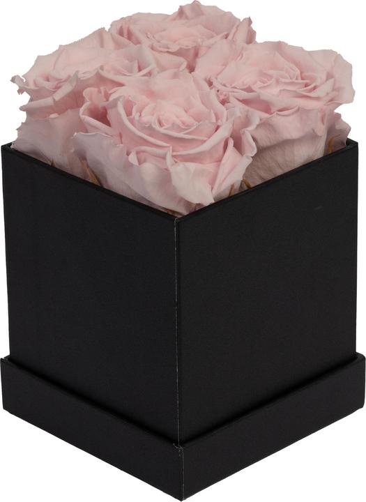 Rose (boîte noire)