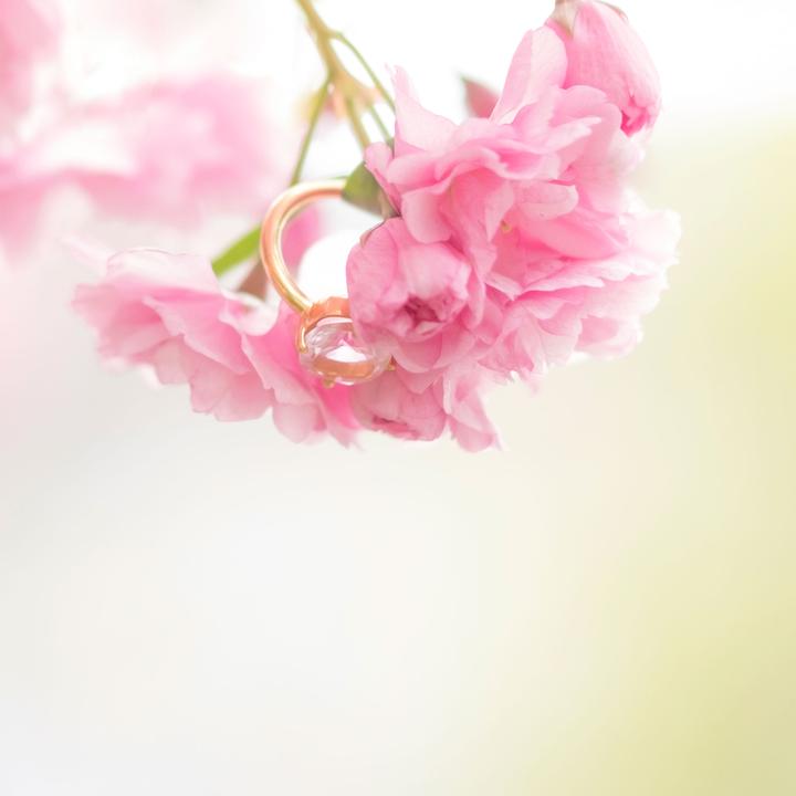 Image du produit Ailoria Églantine (53, Argent 925)