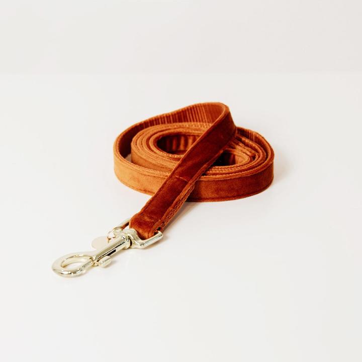 Produktbild Kentucky Dogwear Hundeleine Velvet (L, Hund, Hundesport)