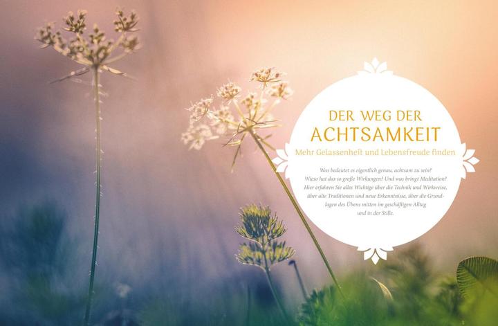 Actual product image Achtsamkeit (German, 2017)