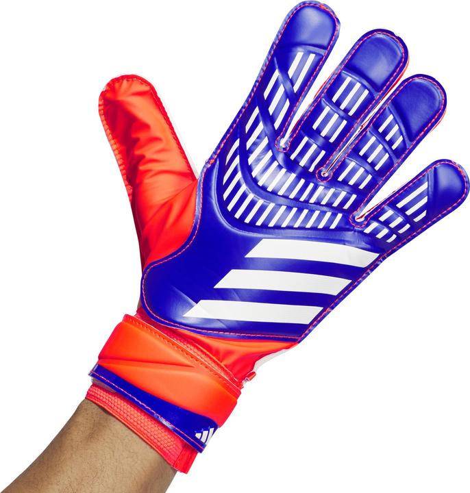 Actual product image adidas Predator (9.5)