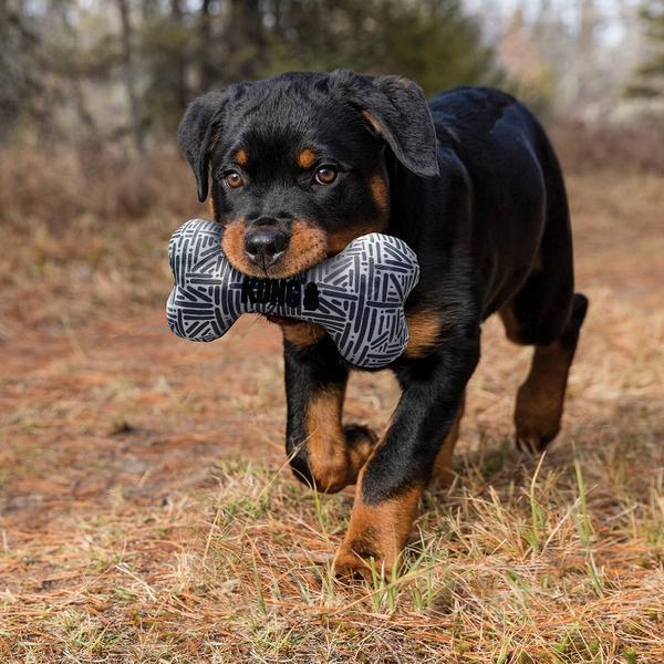 Produktbild KONG - Maxx Bone Squeak Toy S/M (634.7350) (Kauspielzeug Hund)