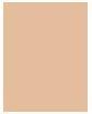Actual product image MAC Cosmetics Studio Fix (NW25)