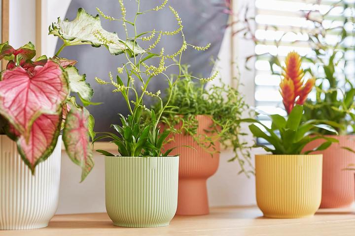 Produktbild Elho Vibes Fold Rund (16.14 cm)