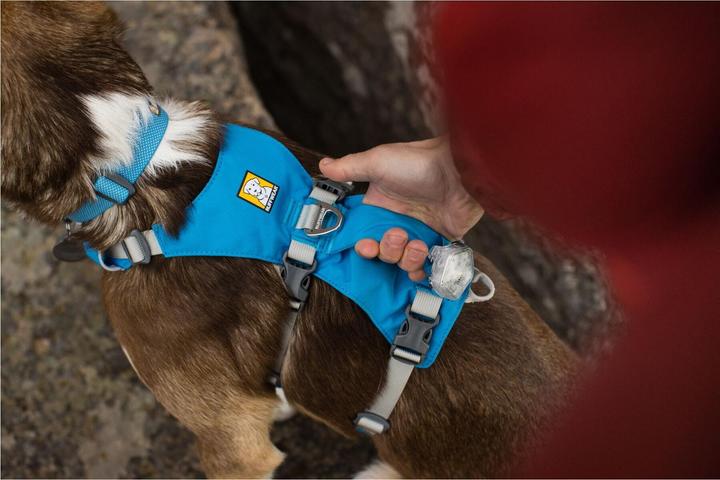 Image du produit Ruffwear Flagline harnais pour chien (M, Chien)