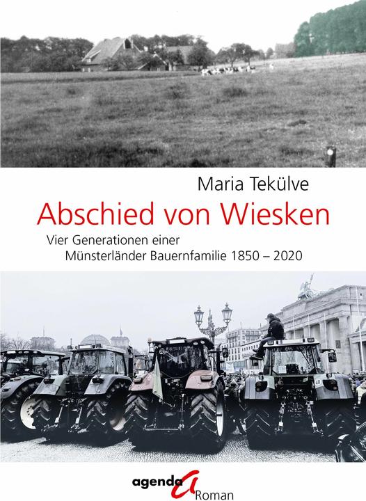 Produktbild Abschied von Wiesken (Deutsch)