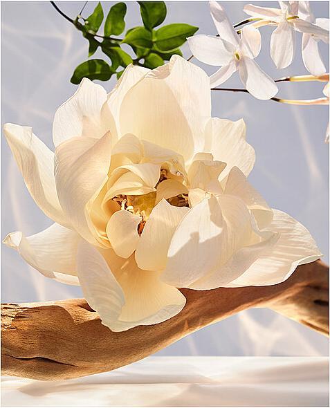 Immagine prodotto Bulgari Omnia Cristallina (Eau de parfum, 50 ml)
