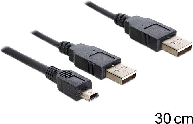 Produktbild Delock 2 x USB-A - USB mini 5-pol (0.30 m, USB 2.0)