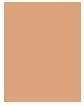 Actual product image Max Factor Facefinity Compact (007 Bronze)