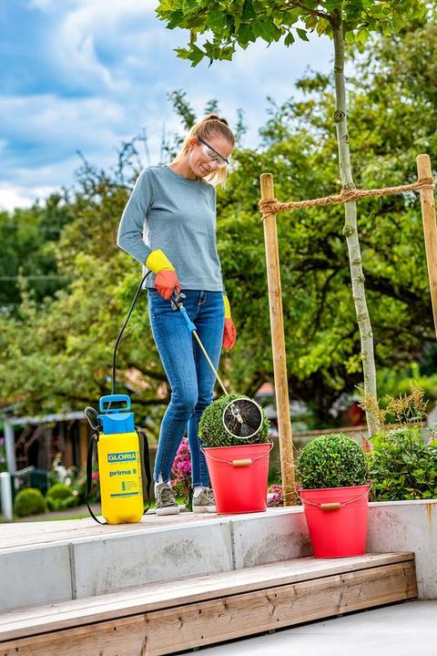 Image du produit Gloria Haus und Garten Pulvérisateur Kit de protection des plantes 2en1