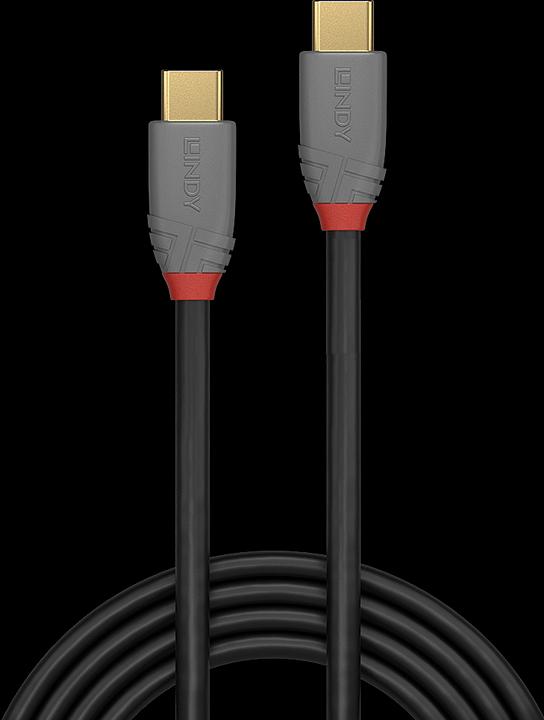 Actual product image Lindy Anthra Line (1 m, USB 3.1)