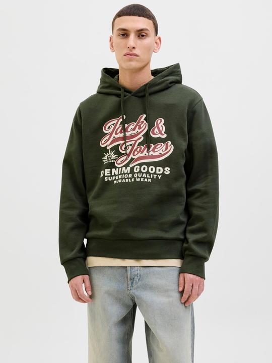 Immagine prodotto Jack & Jones JJELOGO SWEAT HOOD 2 COL 25/26 NOOS (XS)