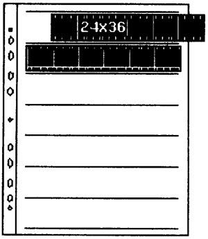 negative filing sheets - 100x glassine (Case)