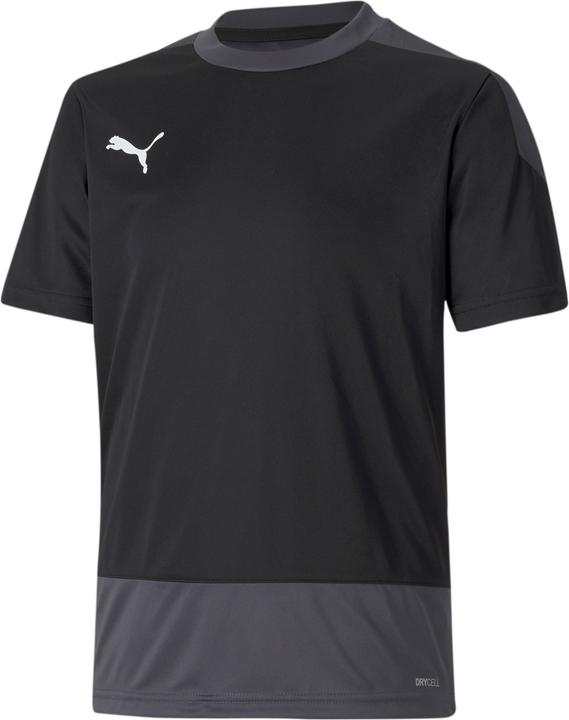 Puma teamGOAL 23 TRG Jersey Jr-656569 (116)