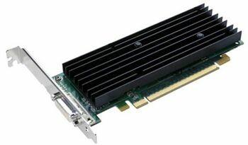 Actual product image PNY Display adapter (DisplayPort)
