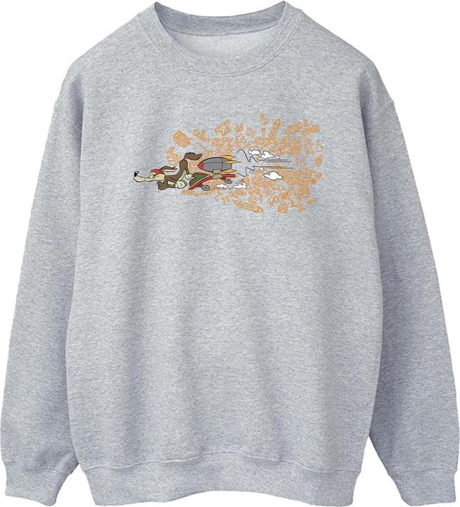 Looney Tunes ACME Doodles Wile E Coyote Sweatshirt (L)