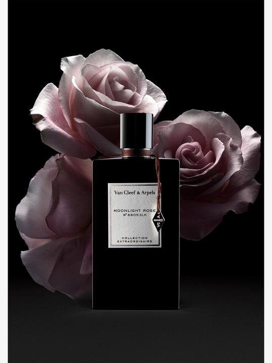 Image du produit Van Cleef and Arpels Moonlight Rose Eau de Parfum (Eau de parfum, 75 ml)