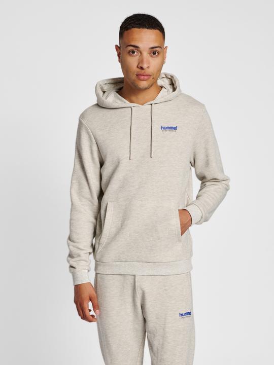 Actual product image hummel Lgc Austin Hoodie (XL)