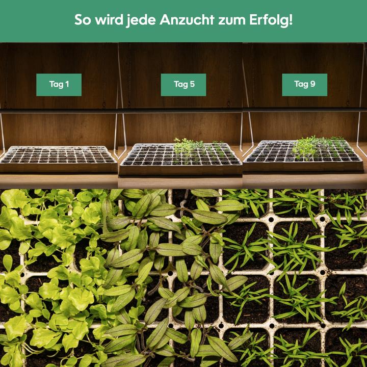 Actual product image Venso Growlight Duo (LED, 245 V)
