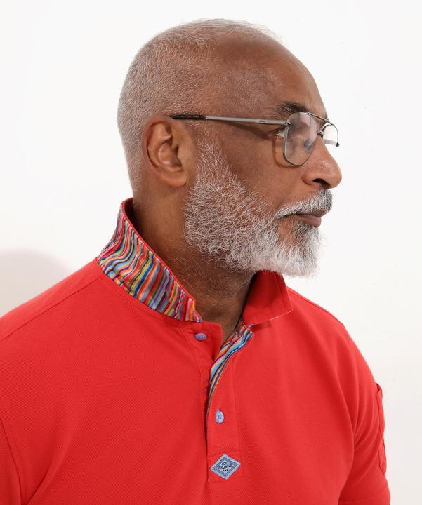 Actual product image Joe Browns Stripe Trim Pique Polo Shirt (XL)