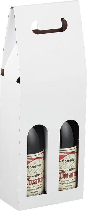 Brieger Carrying case for wine 16.2 x 8.1 x 37 mm (1 x 25 x 58 cm, 1 x)