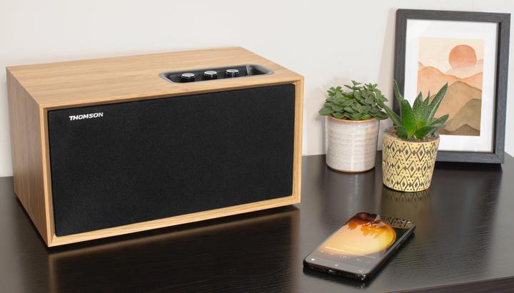 Actual product image Thomson WS502 - Compacte Multimedia Speaker - Hout (Electrical connection)