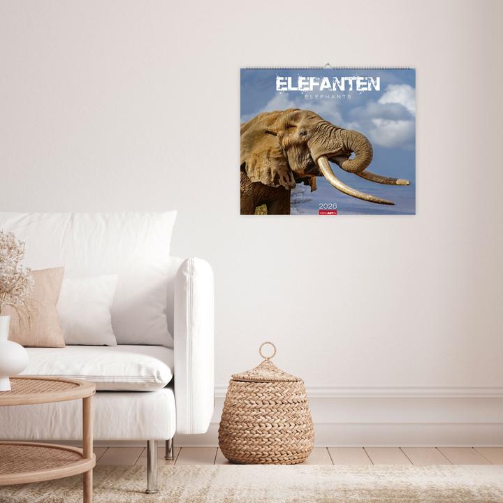 Actual product image Elefanten Kalender 2026 (55 x 46 cm, German)