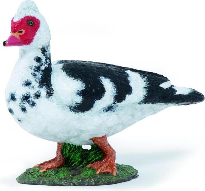 Actual product image Teka Moschusente