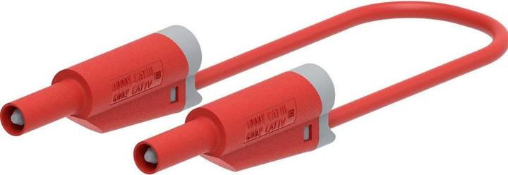 Produktbild Electro PJP 2719-IEC-CD1-100R Messleitung Steckanschluss 4 mm, Bananenstecker 1