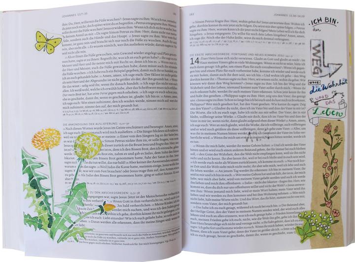Produktbild Neues Testament. Bibel kreativ (Deutsch, Katholisches Bibelwerk, 2022)