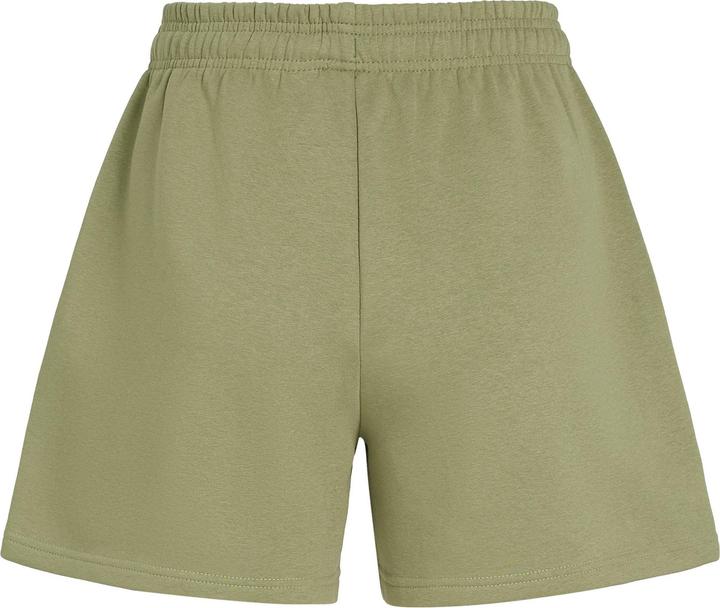 Actual product image O'Neill The Future Surf Society Shorts (M)