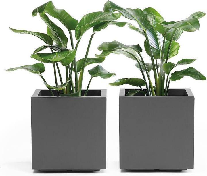 Productafbeelding Euro3plast Planter (39.50 cm)