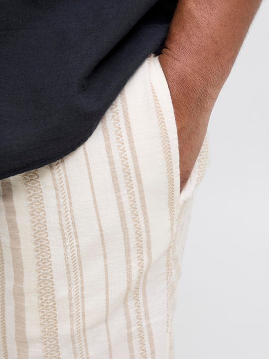 Actual product image Jack & Jones Plus Size Relaxed Fit Relaxed Fit Shorts Relaxed Fit Shorts (46)